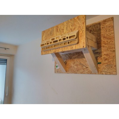 Bild 1 av Daniel till Beastmaker - 2000 Series - Träningspanel