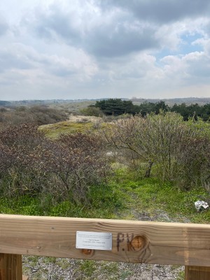 Bild 1 av Arjen till Black Diamond - Stormline Stretch Full Zip Rain Pants - Regnbyxa