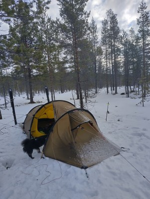 Bild 1 av Martin till C.A.M.P. - G Pure - Handskar