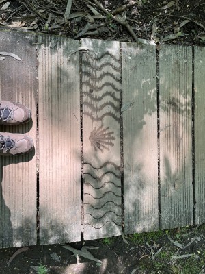 Bild 1 av Anette till CEP - Women's Hiking Merino Mid-Cut Socks - Kompressionsstrumpor