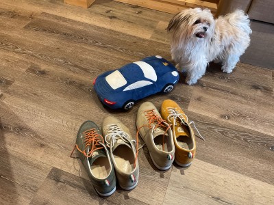 Bild 1 av Frank till Dolomite - Cinquantaquattro Low Full Grain Leather Evo GTX - Fritidsskor
