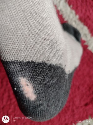 Bild 1 av Stefan till Heber Peak - EvergreenHe. Hiking Crew Socks 2-Pack - Vandringsstrumpor