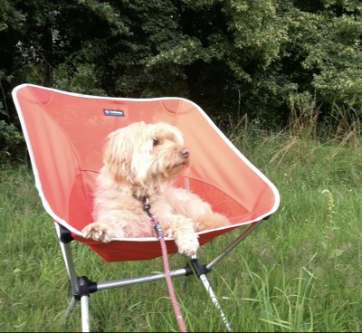 Bild 1 av Katja till Helinox - Chair One XL - Campingstol