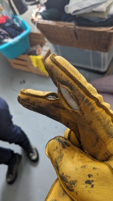 Bild 1 av Thomas till Hestra - Deerskin Primaloft Rib - Handskar