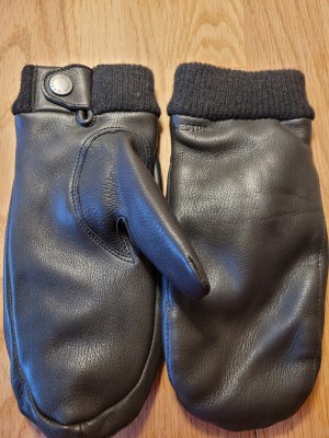 Bild 1 av Sandra till Hestra - Women's Idun Mitt - Handskar