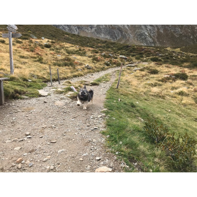 Bild 1 av Heidi till La Sportiva - Women's Hyper GTX - Approachskor