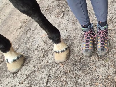 Bild 1 av Ines till La Sportiva - Women's Trango TRK Leather GTX - Vandringskängor