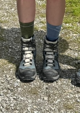 Bild 1 av Sonia till Ortovox - Women's Alpine Mid Socks - Merinostrumpor