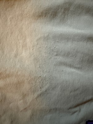 Bild 1 av Nick till Patagonia - Baggies Lights 6'' - Shorts