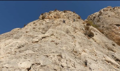 Bild 1 av Siegfried till Petzl - Spirit Bent Gate - Karbiner snäpplås