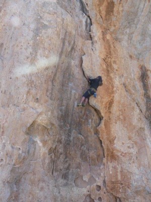 Bild 1 av Siegfried till Petzl - Spirit Straight Gate - Karbiner snäpplås