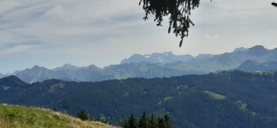 Bild 1 av Bruno till Scarpa - Mojito Trail GTX Suede - Multisportskor