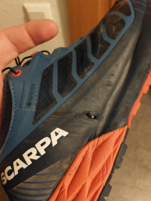 Bild 1 av Daniel till Scarpa - Ribelle Run GTX - Skor trailrunning