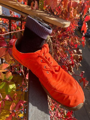 Bild 1 av Agnes till Sealskinz - Waterproof Warm Weather Mid Length Sock - Cykelstrumpor