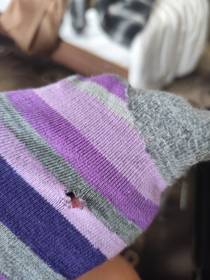 Bild 1 av Nicole till Stoic - Merino Trekking Crew Socks Stripes - Vandringsstrumpor