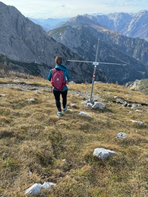 Bild 1 av Daniela till Stoic - Women's HelsingborgSt. Performance Tights - Löpartights