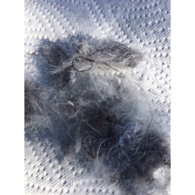 Bild 1 av Uwe till Valandre - Grasshopper 400 - Dunsovsäck