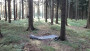 Bild 5 av Jens till Carinthia - Combat - Bivacksäck