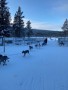 Bild 2 av Anatolij till Helly Hansen - Women's Adore Puffy Parka - Långjacka