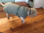 Bild 1 av Nadja till Hunter - Dog Coat Uppsala Trend - Hundtäcken