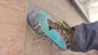 Bild 2 av MARCIN till La Sportiva - TX4 Evo GTX - Approachskor