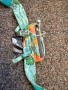 Bild 2 av Maike till Ruffwear - Stash Bag Mini - Hundtillbehör