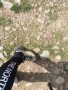 Bild 1 av Veronika till Scarpa - Women's Rush Trek Pro GTX - Vandringskängor